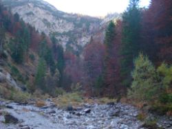 2013-10-26_Schildenstein (071).JPG